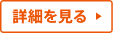 詳細を見る